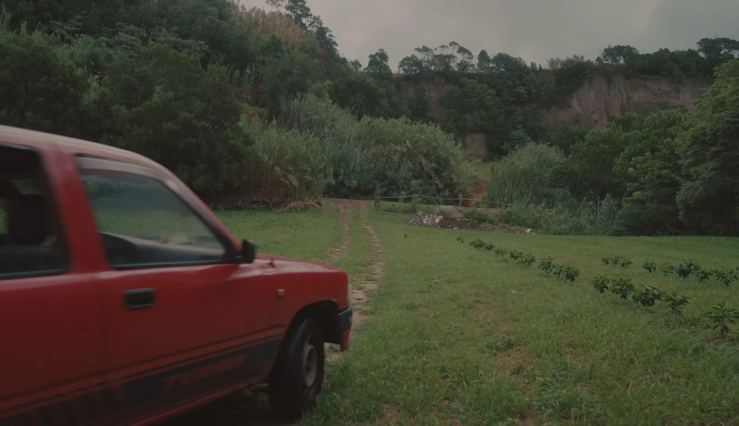 O primeiro café Português.