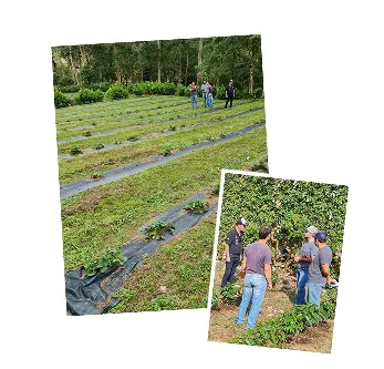 Manual dos Santos Nabeiro