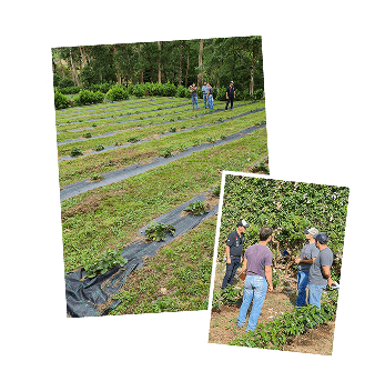 Manuel dos Santos Nabeiro Manuel dos Santos Nabeiro